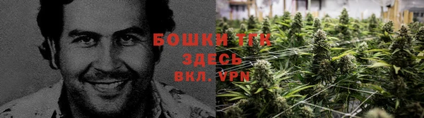 бошки Арсеньев