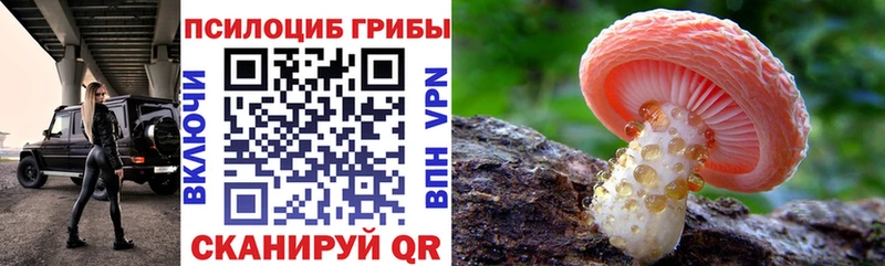blacksprut зеркало  продажа наркотиков  Коряжма  Галлюциногенные грибы Cubensis 